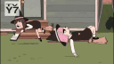 banner