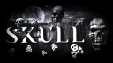 skull Discord server banner