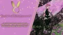The Lunar Coven | 18+ Community & Dance VR Entertainment banner