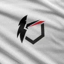 RLC Esport banner
