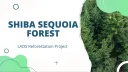 Shiba Sequoia Forest banner