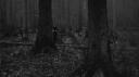 ༺ 𝐀𝐢𝐫𝐞𝐝𝐚𝐥𝐞 ༻ Banner