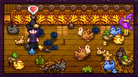 Coop o' Cozy banner