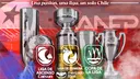 ANFP - Asociacion Nacional De Futbol Profesional banner