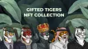 Gifted Tigers banner