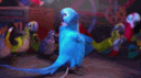 rio banner