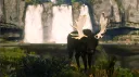 (PC) Red Dead Cowpokes Discord server banner