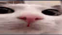 𝐃𝐋𝐂 𝐅𝐎𝐑 𝐆𝐀𝐌𝐄𝐒 banner