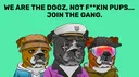 The Dogz banner