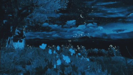 Indian Hangout Hub 🇮🇳 | Social • Hangout • Nitro • Dank Discord server banner