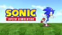 Sonic Speed Simulator Banner