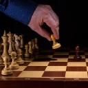 Schach Banner