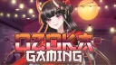 Ozoka-Gaming banner