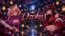 Ozoka-Gaming Banner