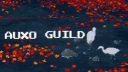 Auxo banner