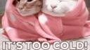 Normalish Banner