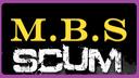 T.B.S  Gaming Network Banner