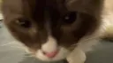 𝙉𝙤𝙧𝙞𝙚’𝙨 basement server banner