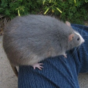 ⌠Sky Supply⌡ banner