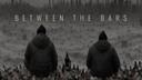 Between the Bars Banner