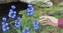 🥀 Our Paradise Discord server banner