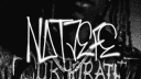 Jefe! banner