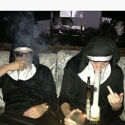 What The Fuck Is This Discord server banner