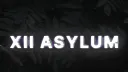 XII Mental Asylum Banner