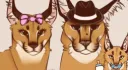 Floppa City banner