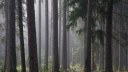 The River Styx server banner
