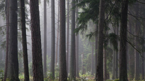 The River Styx Discord server banner