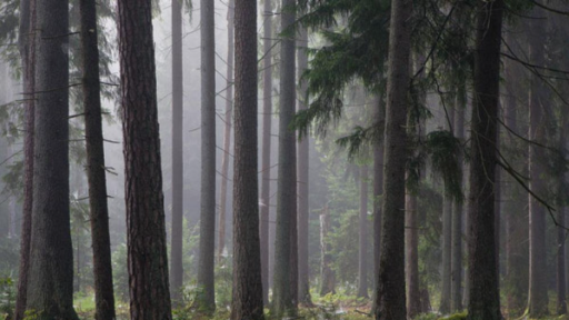 The River Styx Discord server banner