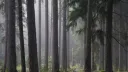 The River Styx Discord server banner