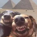 ENTRE NO OUTRO SERVIDOR banner