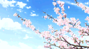 jesus ! banner