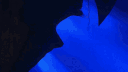 DBF RP banner