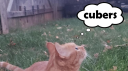 cubers Discord server banner