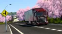 Lotus Transport banner
