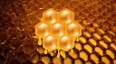 The Hive banner