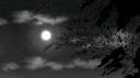ᴅᴀʀᴋ ᴘʟᴀᴄᴇ Banner