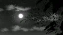 ᴅᴀʀᴋ ᴘʟᴀᴄᴇ Discord server banner