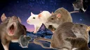 The Sewer Rats Den banner