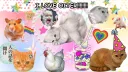 DINK MY OITER banner