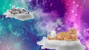 🐾 MEOW SANCTUARY ♠ banner
