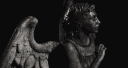 メ妥| [иYт]NightWalkers (closed) banner