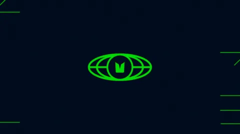 Seahawks banner