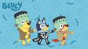 The Heeler House Banner
