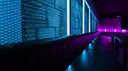 ⁌𝐏𝐚𝐫𝐚𝐝𝐢𝐬𝐞 𝐍𝐢𝐠𝐡𝐭 𝐂𝐥𝐮𝐛⁍ server banner