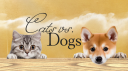 Cats vs. Dogs banner
