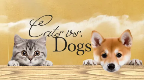 ๐๐ข๐ต๐ด ๐ท๐ด. ๐๐ฐ๐จ๐ด banner